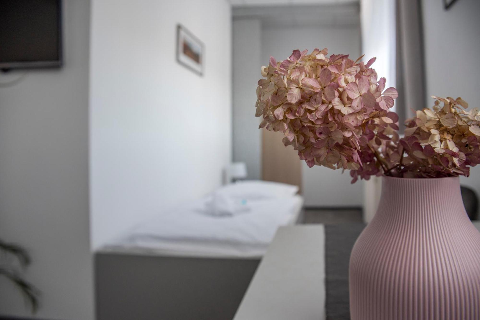 Classic Apartmany Trinec Luaran gambar